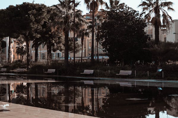 Shopping Plaza with Palm Trees